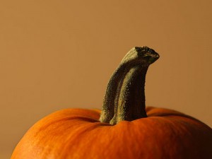 punkins aren't just for chunkin